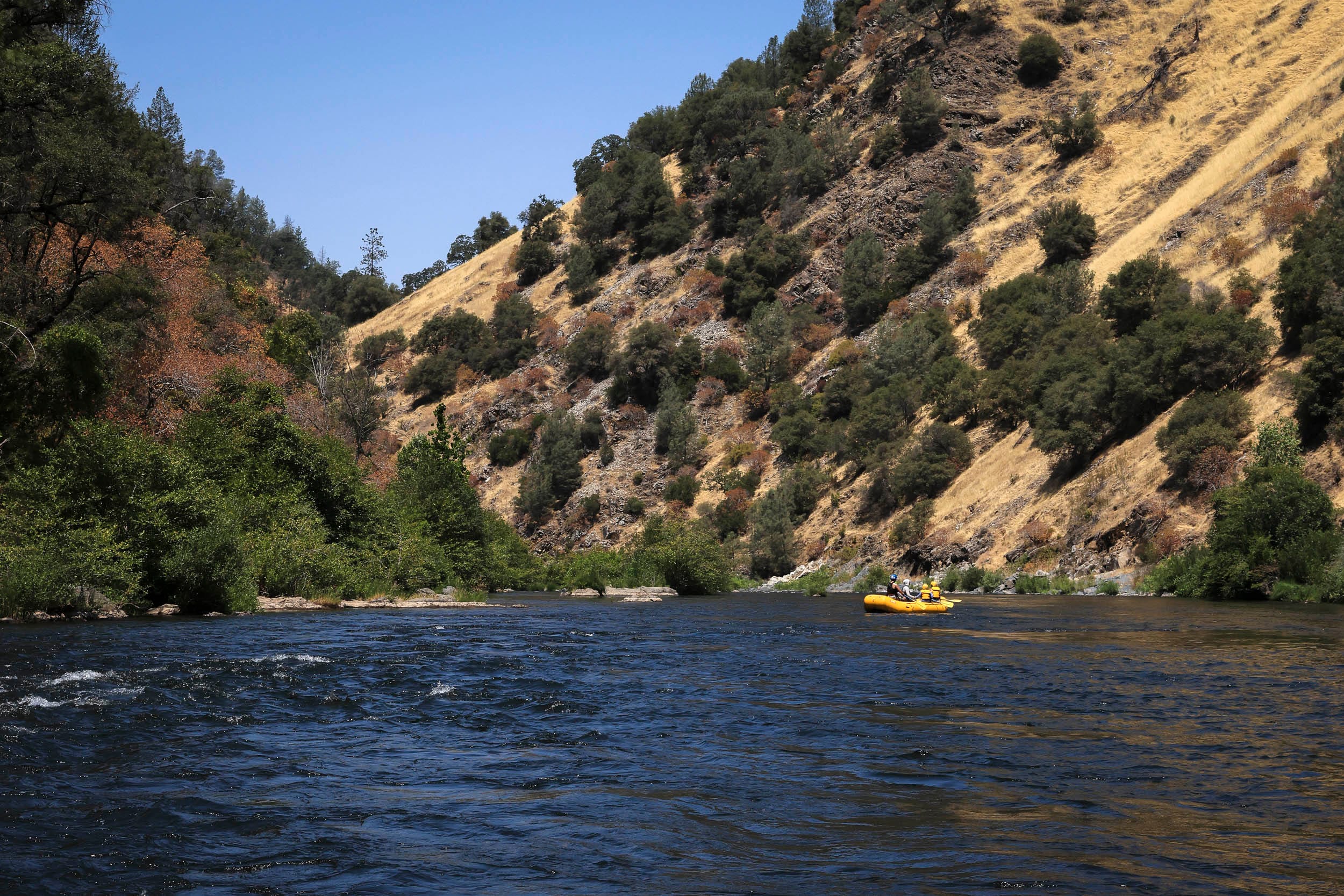 Junior Guides on The South Fork American River