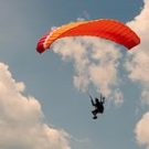 elainelF686KT Avatar