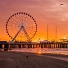 B9115TQheidib Avatar